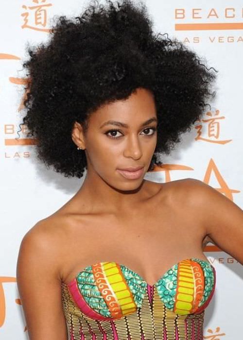 Big Natural Afro Hairstyles for Black Women