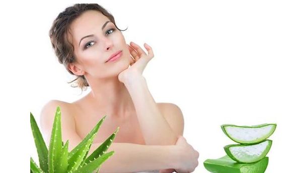 Biostimulated Aloe Vera Wraps and Masks for Hair