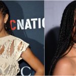 Poetic Justice Braids Hairstyle for Black Women