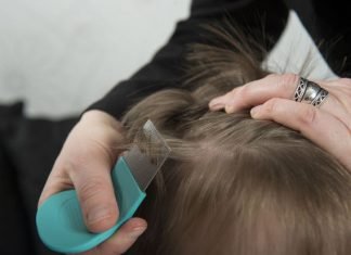 How to Check for Lice? how to check for lice