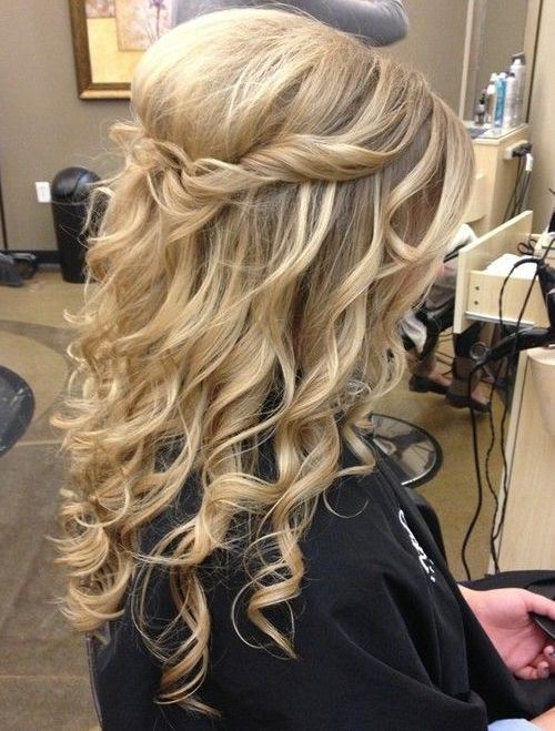 Waterfall Braid for Curly Hairstyles Medium Curly Hairstyles