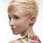 Cropped Feathered Cut-Ideas of Ideal Short Haircuts