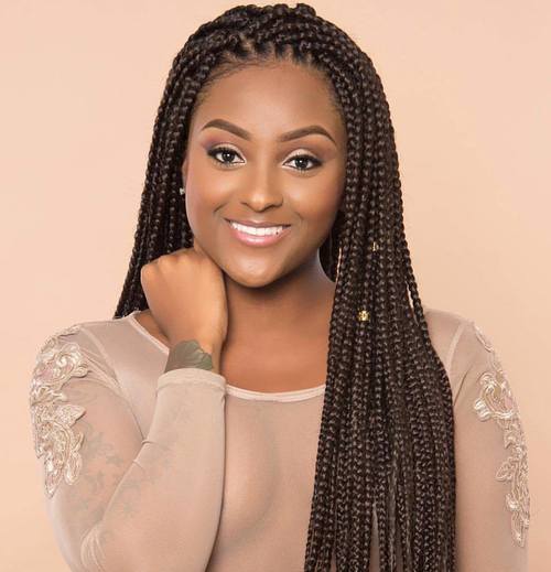 Long and Luscious Braids Box Braids