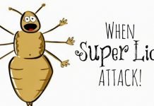 How to Get Rid of Head Lice? Remedies to get rid of head lice