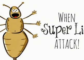 How to Get Rid of Head Lice? Remedies to get rid of head lice