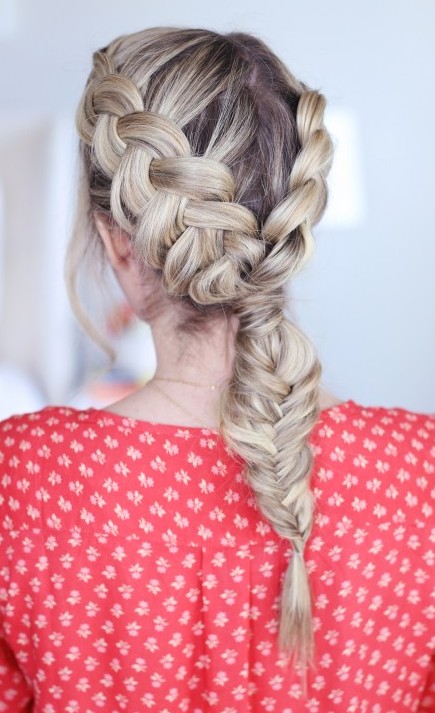 Double Dutch Braid with Fishtail braid hairstyles