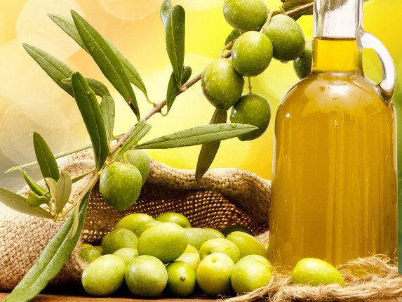 olive oil for hair trips and tricks