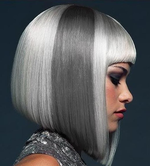  Sleek and Shine grey hair trend