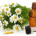 Chamomile Essential Oils for hair