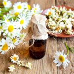 Chamomile Essential Oil For Hair Growth