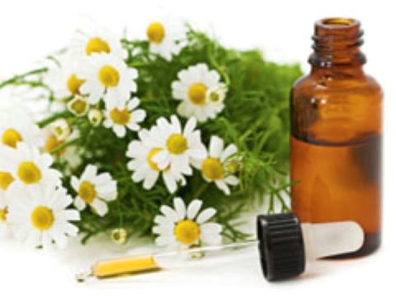 Chamomile Essential Oils for hair