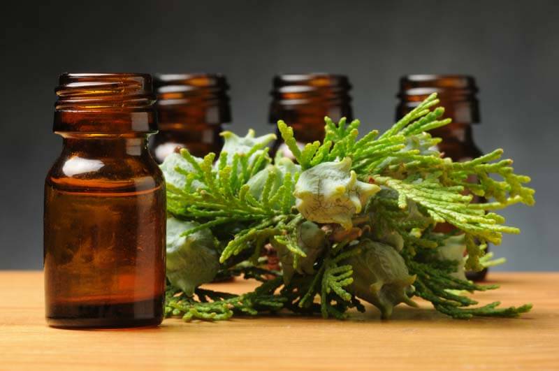 Clary Sage Essential Oils For Hair Growth