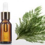 Cypress Essential Oils for hair