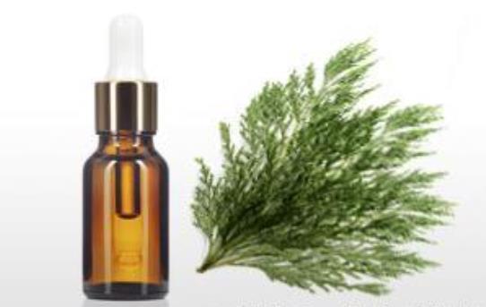 Carrot Essential Oils for hair