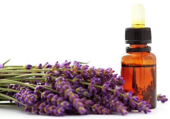 Lavender Essential Oils for hair