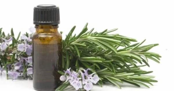 Rosemary Essential Oils for hair