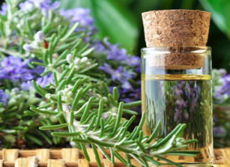 Rosemary Oil for Hair Rosemary Oil for Hair