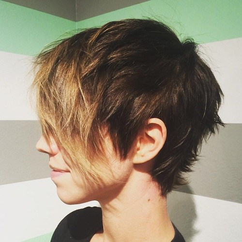 Shaded and Shaggy Short Straight Hairstyles and Haircuts